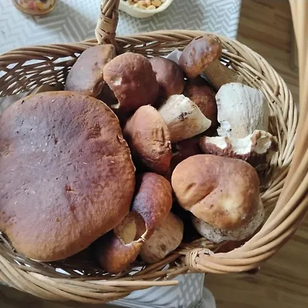 Tygiel Krzywa, Beskid Niski *